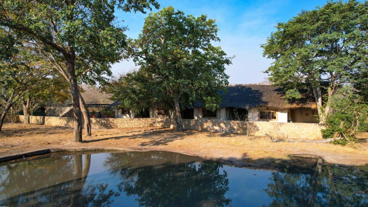 Dete Gwango Elephant Lodge מראה חיצוני תמונה